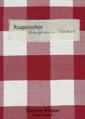 Omslag van Raapsteeltje