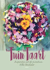Omslag van Van tuin tot taart