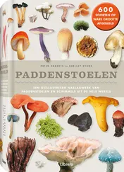 Omslag van Paddenstoelen