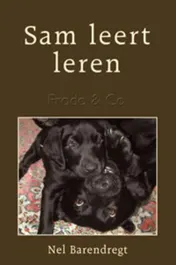 Omslag van Sam leert leren
