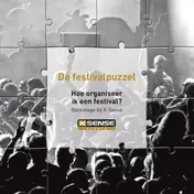 Omslag van De festivalpuzzel