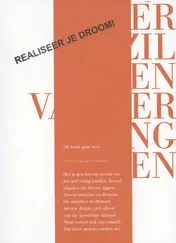 Omslag van Verzilvering van verlangen