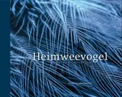 Omslag van Heimweevogel