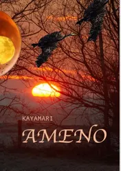 Omslag van Ameno