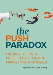 Omslag van The Push Paradox e-book