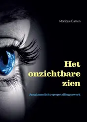 Omslag van Het onzichtbare zien