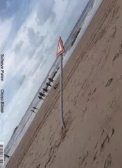 Omslag van Scheve Palen