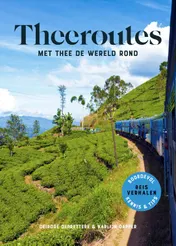 Omslag van Theeroutes