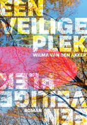 Omslag van Een veilige plek