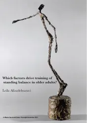 Omslag van Which factors drive training of standing balance in older adults?