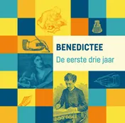 Omslag van BeNeDictee. De eerste drie jaar