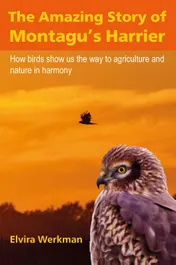 Omslag van The Amazing Story of Montagu's Harrier