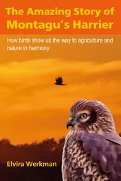 Omslag van The Amazing Story of Montagu's Harrier