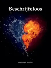 Omslag van Beschrijfeloos