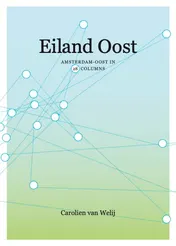 Omslag van Eiland Oost