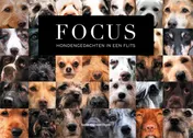 Omslag van FOCUS
