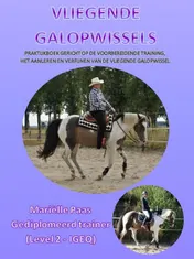 Omslag van Vliegende galopwissels