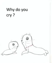 Omslag van Why do you cry ?