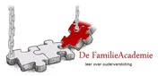 Omslag van Werken met ouderverstotingsproblematiek