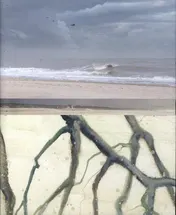 Omslag van Refugium
