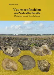 Omslag van Vuursteenfossielen van Zuidwolde, Drenthe