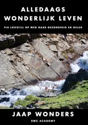 Omslag van Alledaags wonderlijk leven