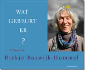 Omslag van Wat gebeurt er?