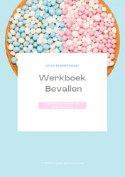 Omslag van Werkboek Bevallen