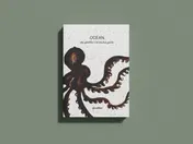 Omslag van OCEAN the gloobles UK pocket guide
