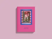 Omslag van Marrakesh the gloobles pocket guide