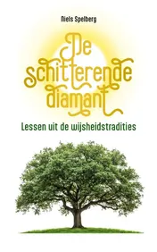 Omslag van De schitterende diamant