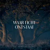 Omslag van Waar licht ontstaat