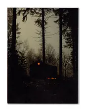 Omslag van Entre Chien et Loup
