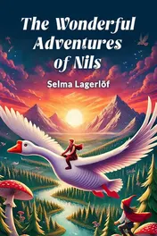 Omslag van The Wonderful Adventures of Nils