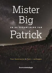 Omslag van Mister Big en de verdwijning van Patrick