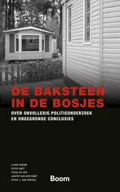 Omslag van De baksteen in de bosjes