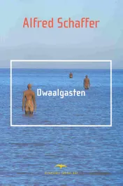 Omslag van Dwaalgasten
