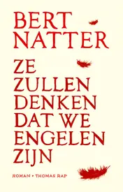 Omslag van Ze zullen denken dat we engelen zijn