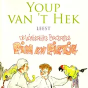 Omslag van De wonderlijke broertjes Pim en Pietje