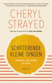 Omslag van Schitterende kleine dingen