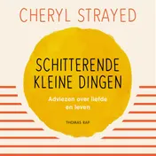 Omslag van Schitterende kleine dingen