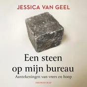 Omslag van Een steen op mijn bureau