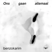 Omslag van Ons gaan allemaal