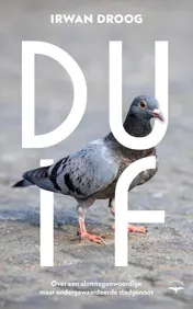 Omslag van Duif