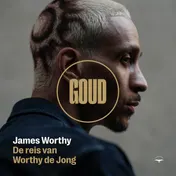 Omslag van Goud