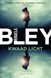 Omslag van Kwaad licht