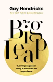 Omslag van The Big Leap