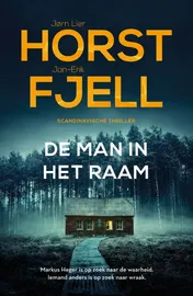 Omslag van De man in het raam
