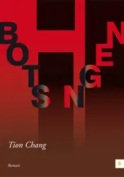 Omslag van Botsingen