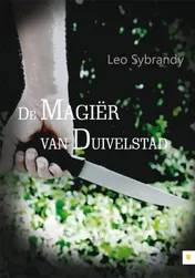 Omslag van De Magiër van Duivelstad